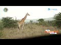 Kisumu Today 3:  Gateway to the Thrills, Wonders, Tourist Attractions of Western Kenya