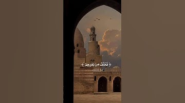 تلاوة خاشعة القارئ وديع اليمني 🥹❤️ #quran #quran_kareem #وديع_اليمني #الصلاة #يارب