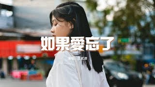 王貳浪   如果愛忘了（原唱：戚薇）『如果愛忘了 淚不想落下，那些幸福啊 讓她替我到達。』【動態歌詞MV】