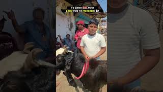 Deonar Bakra Mandi Latest Kharidi Update 🐐 Net Worth