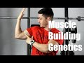 Do You Have Good or Bad Muscle-Building Genetics?