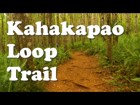 Kahakapao Loop Trail