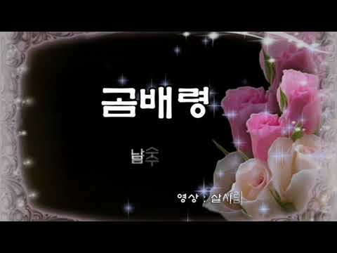 남수란 - 곰배령 가사 노래 듣기