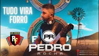 PEDRO ROCHA - TUDO VIRA FORRÓ (2022)