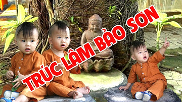 Ngôi chùa này sát chân núi Thị Vải | Trúc Lâm Bảo Sơn - Tóc Tiên - Tân Thành - T. BR VT