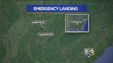 Southwest Jet Makes Emergency Landing In Nashville After Bird Strike