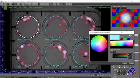 ZGENEBIO RvTracking Circle ROIs Behavioral tracking ( RvTracking HeatMap )