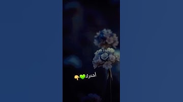 {نَحْنُ أَعْلَمُ بِمَا يَقُولُونَ ۖ وَمَا أَنْتَ عَلَيْهِمْ بِجَبَّار} #سورة_ق (٤٥)