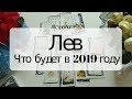 5. ЛЕВ Что будет в 2019 году. Астрорасклад от Olga