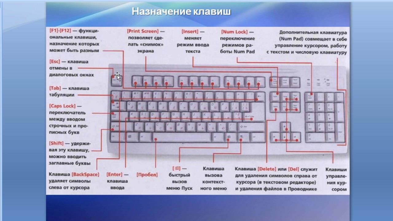 Урок Знакомство С Клавиатурой