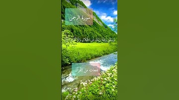 كل من عليها فان ويبقى وجه ربك ذو الجلال والإكرام  #سورة_الرحمن #قرآن #quran #تلاوة_خاشعة #اكسبلور