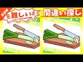 ◤◢◤◢新鮮で美味しいネギのイラストで脳のトレーニング◤◢◤◢【頭の体操】928