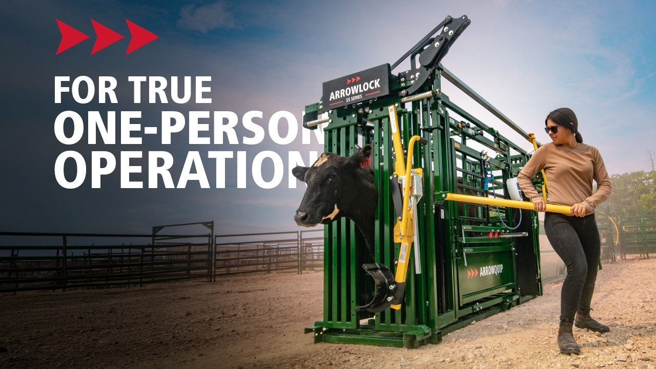 Скотный загон, рассчитанный на работу одного человека | Серия Arrowlock 55 | Arrowquip