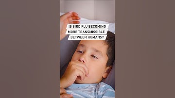 Is bird flu becoming more transmissible between humans?