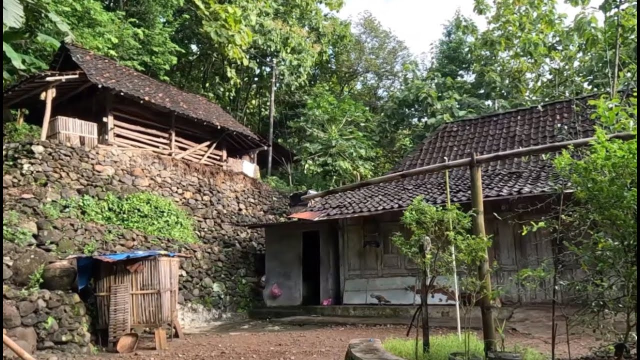 Kehidupan Pagi di Kedungjati | Dusun Indah di antara Perbukitan Karst dan Lembah Sungai Oyo