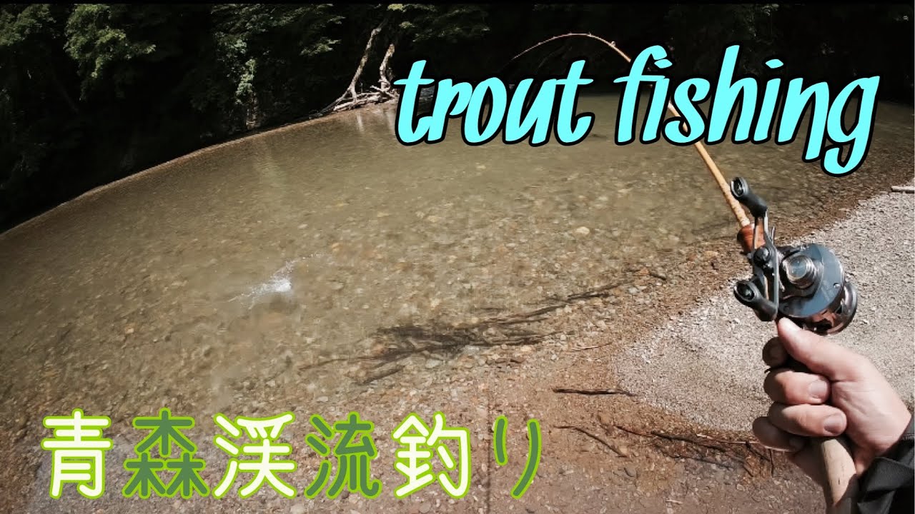岩魚と山女を求めて避暑地へ〜青森渓流釣り〜
