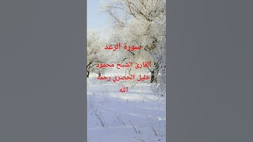 القرآن الكريم شفاء #المصحف #اكسبلور #تلاوات_رائعة #لايك
