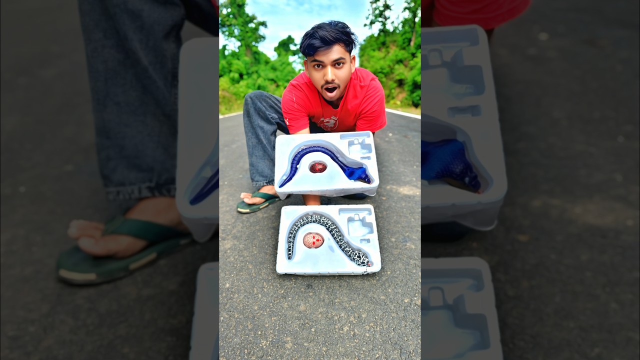 Duita Remote control Snake Unboxing