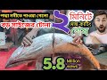 পদ্মা নদীতে পাওয়া গেলো || বিশাল বড় সাইজের টোনা ফিস|| 😱Podma River Tuna fish || #fish #fishingvideo