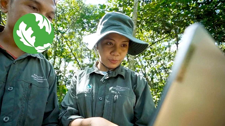 The Power of Peatlands for People and Nature