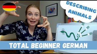 Describing Green Animals In German (Can You Guess Which Ones?)│Total Beginner German