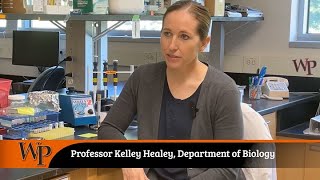 Biology Professor Kelley Healey Sets Out To Save Lives With Student-Assisted Research On Campus