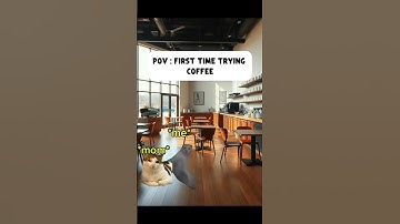 ☕POV : FIRST TIME TRYING COFFEE #shorts #coffee #catmemes #relatable