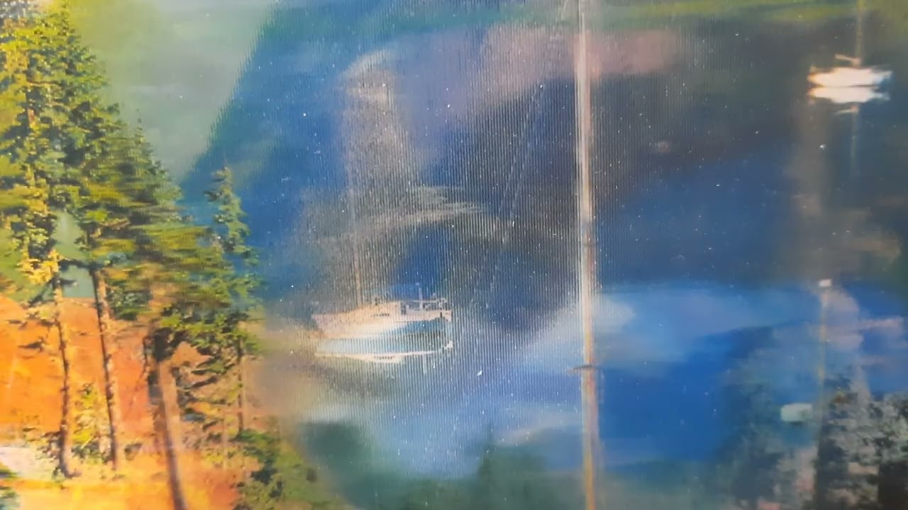 Ребята, не туда! Насильно мил не будешь /Выпуск 871