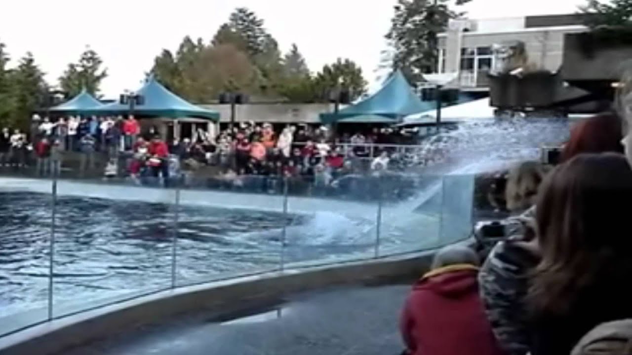 Top 3 Date Ideas in Vancouver - Granville Island, Chinatown, Stanley Park & Gastown