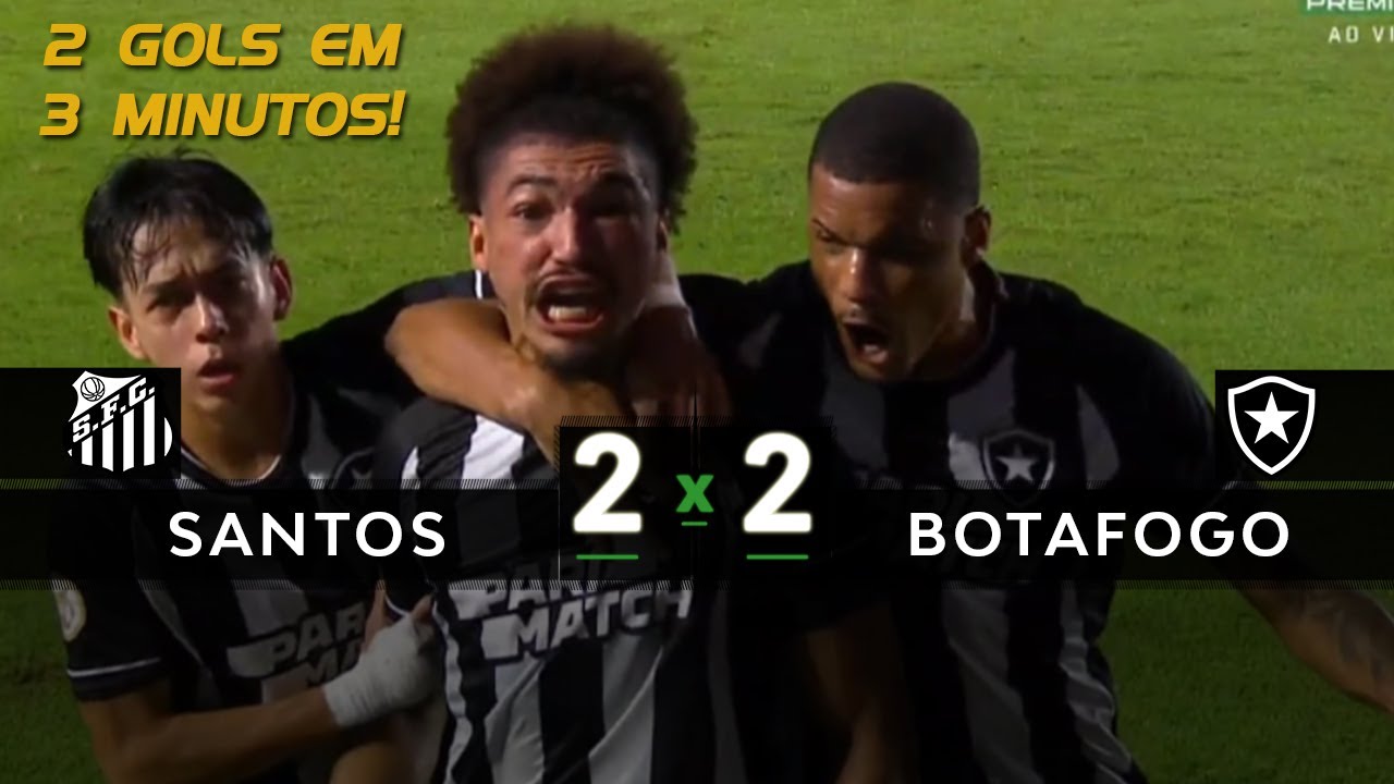 Santos 2 x 2 Botafogo - REAÇÃO ABSURDA DO FOGÃO | Melhores Momentos ...