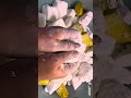 Jumbo Chalk! Crisp Texture, Relieves Stress and Fatigue | ASMR