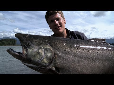 WILDE WASSER 2 -- Der Traum vom Königslachs