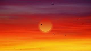 #Футаж птицы летят на закате в раю ◄4K•HD► #Footage birds fly at sunset in paradise
