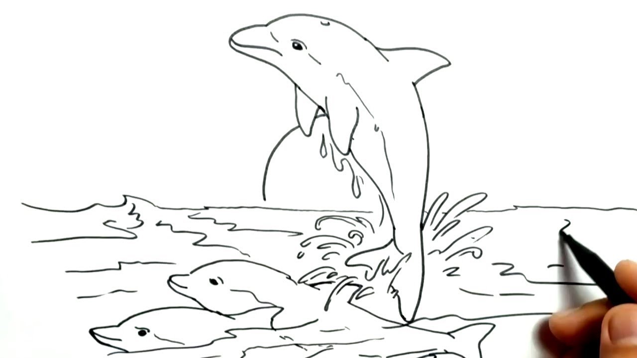 cara menggambar ikan  lumba lumba dengan mudah YouTube