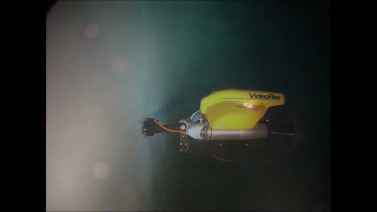 Ballast tank inspection with pro4