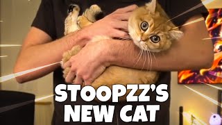 The Story of Stoopzz's Cat...