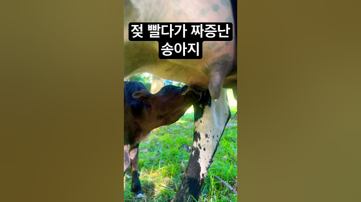 태어난지 하루만에 엄마한테 이러면 안되지! #shorts