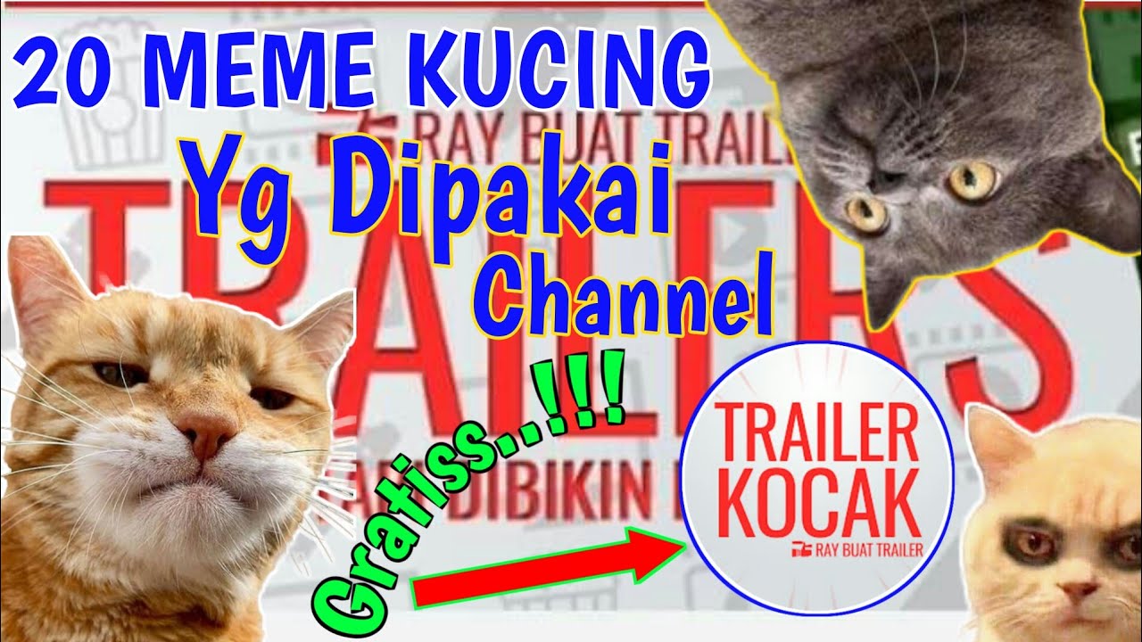 20 Meme Kucing Green Screen Yang Sering Dipakai Channel Youtube Ray Buat Trailer Youtube