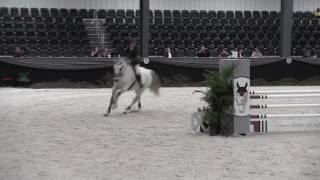 Video Of Bb Viola Ridden By Annie C. Irwin From Shownet