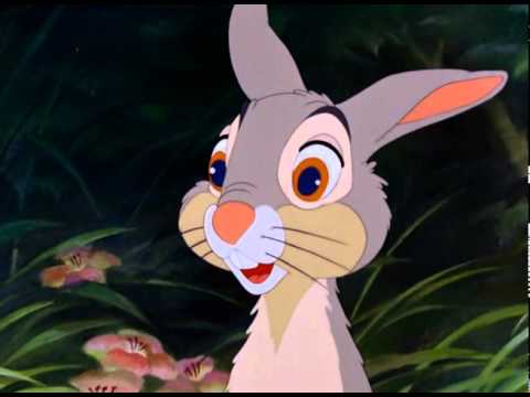 Hare are the 10 best bunny rabbit movies ever 