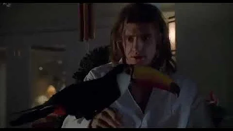 George Of The Jungle - Tookie Arrives