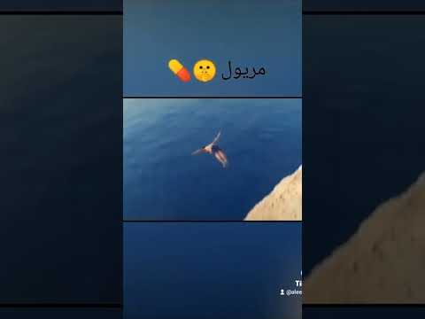 مريول مانيني