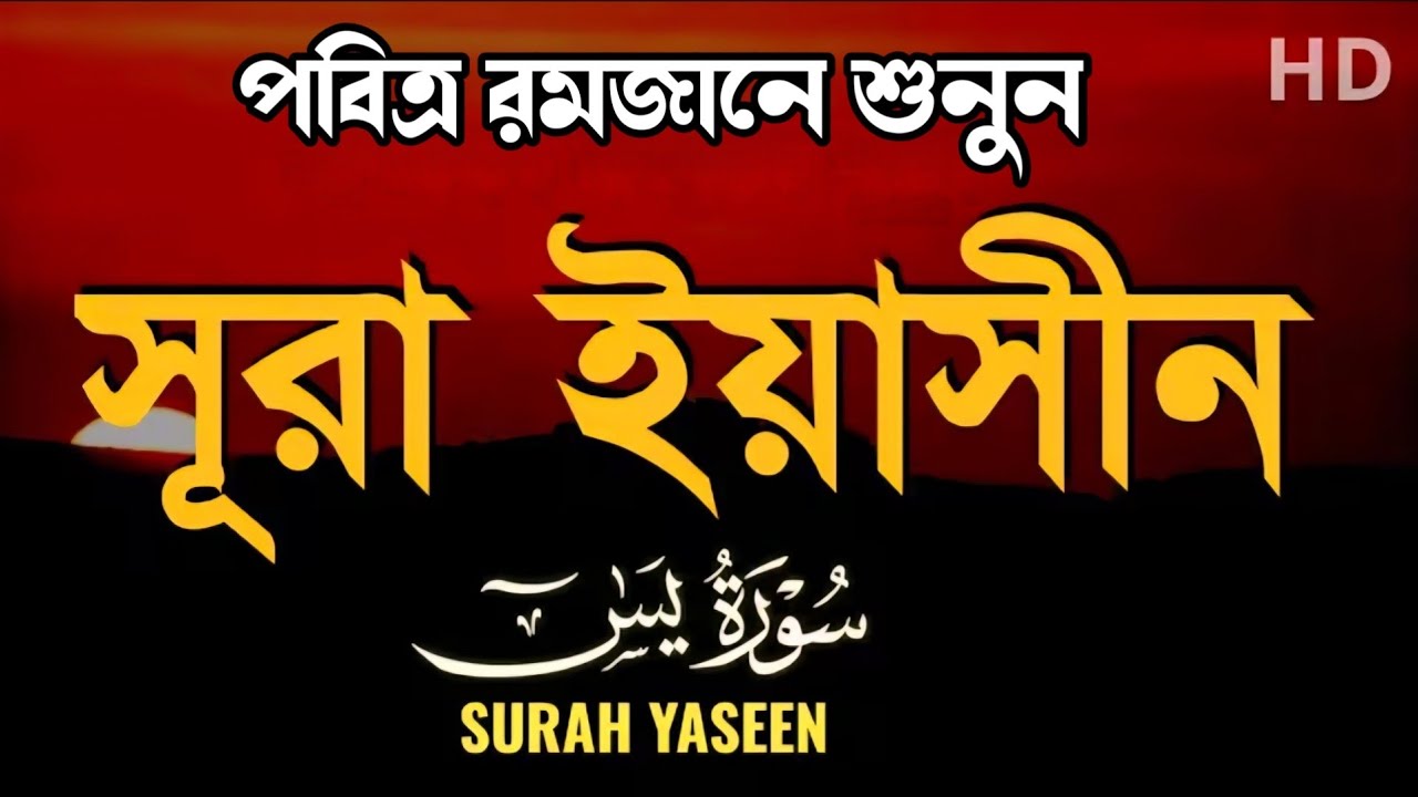 প্রতিদিন শুনুন - সূরা ইয়াসীন |(سورة يس)| Surah Yasin | পবিত্র রমজানের সেরা আমল | BY ISMAIL NURI