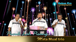 Pucuk Lah Pisang   covered, MATA MUAL Trio   #LiveStream,#LiveMusic,,#lagubatak,