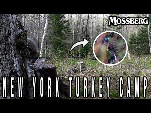 Turkey Camp in the Mountains!