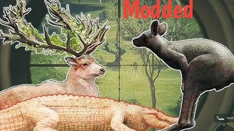 I accidentally found a modded server and its insane #the hunter call of the wild