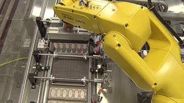 Robotic Bottle Packer