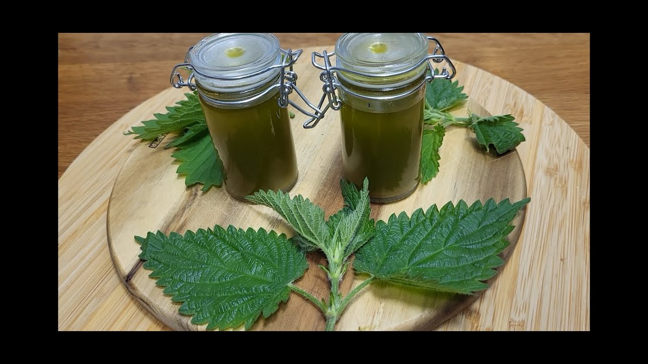 Macerat od koprive/Brennnesselmazerat/Nettle macerate