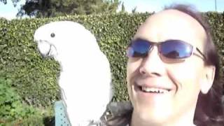 Whistling for the Bird