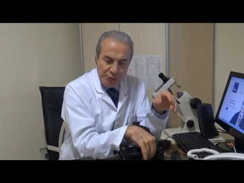 Video: Veteriner Tıbbındaki Gelişmeler – Retina Hastalığı Için Gen Tedavisi